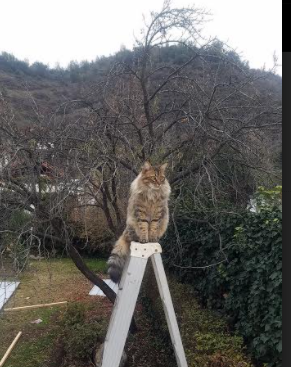 从硬地到红土,梅德韦杰夫解构水土不服的逆袭密码