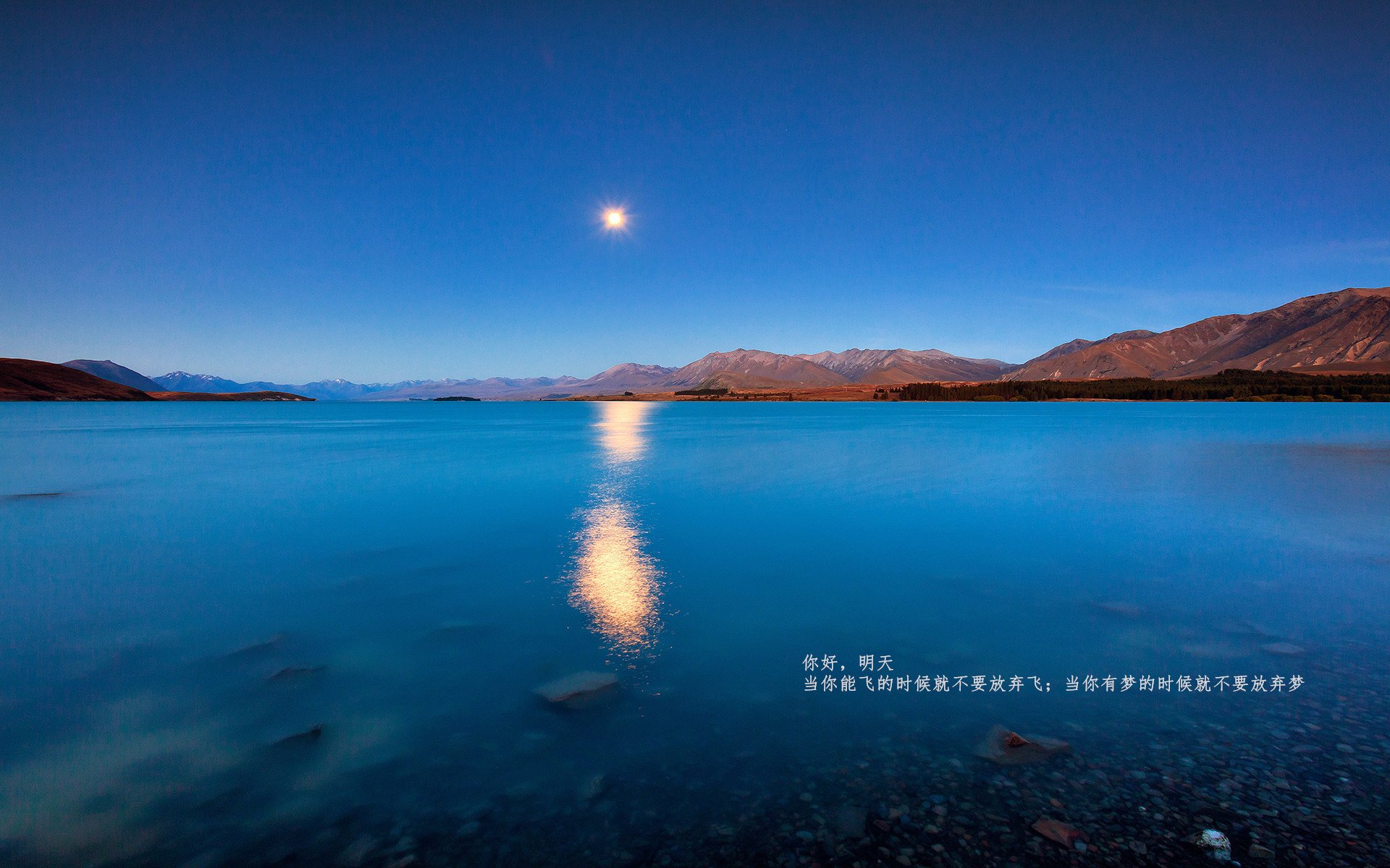 超凡之上，凡人之躯的伟力一击—莫兰特与他的年度焦点之战