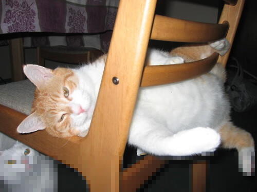 冰与火之歌，利拉德盐湖城攻防转换艺术全纪实