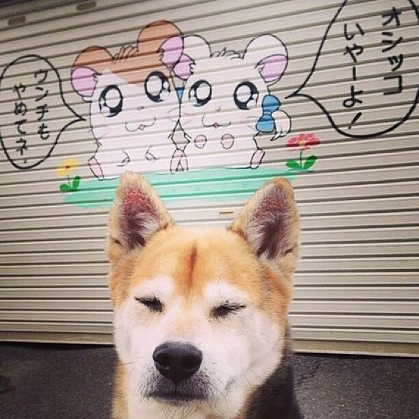 冰与火的史诗，东决关键战，爱尔兰如何完成对克罗地亚的灵魂击溃