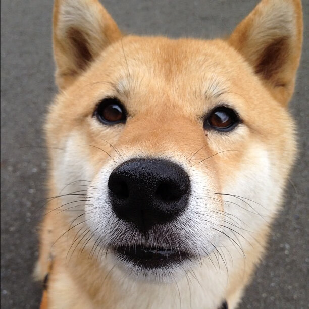 罗德里关键时刻挺身而出,土耳其对阵切尔西的经典战役