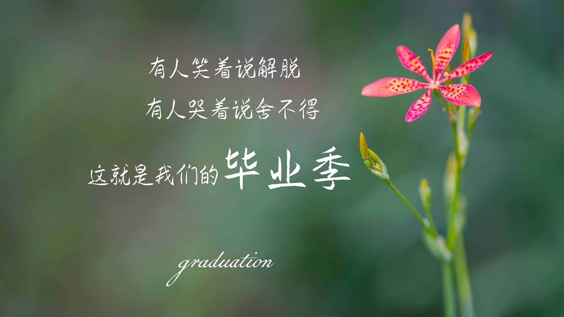 幽灵双城记,当国家德比的光照进洪都拉斯的雨夜