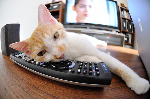 约基奇式高能交响乐，当丹佛引擎以全功率驱动，爵士与雄鹿的战术板同时失效