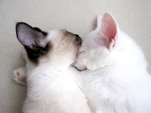 新秀还是德比王？德里赫特用一役封住所有质疑之声