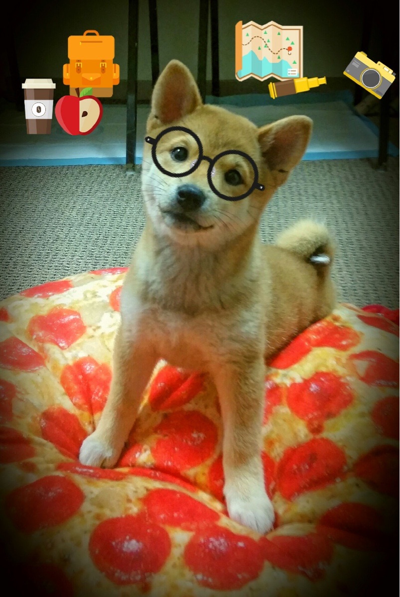 阿拉巴爆发!土耳其用沙漠风暴奇袭战术制霸克罗地亚