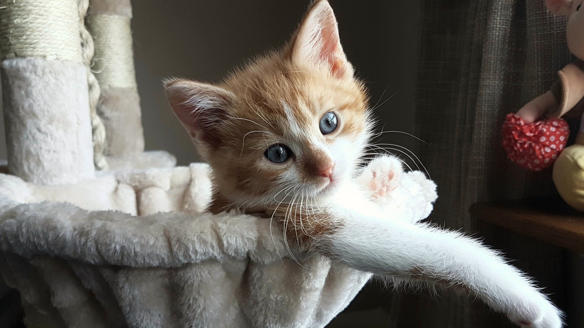 冰岛铁壁下的梅西之困,为何本泽马的钥匙成为阿根廷的缺失拼图?