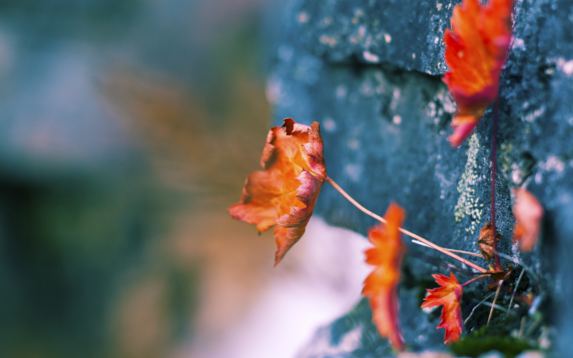 爱游戏APP-冰与火之歌，欧文用关键先生魔法破解吉林队的铁血防守