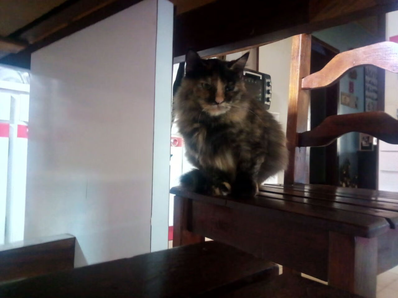 2米24的胜负手，F1年度争冠之夜的深夜无线电