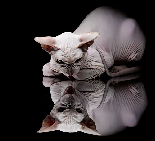 爱游戏APP-骑马射箭定江山，布伦森那一投，为何堪称系列赛转折的教科书