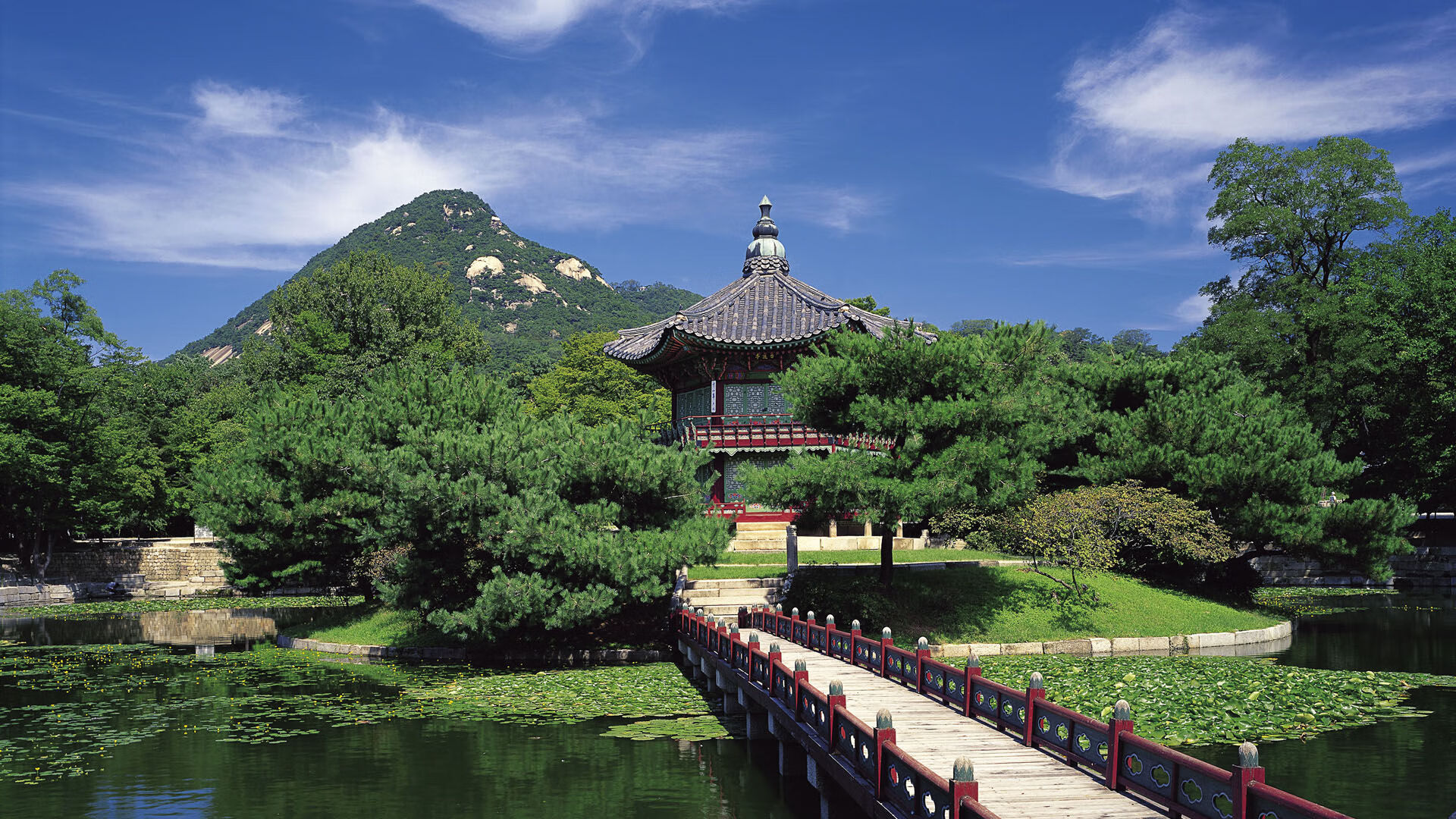 沙漠与海洋的逆流,2026世界杯E组焦点战,塔雷米以神迹之手碾碎加纳的笃定