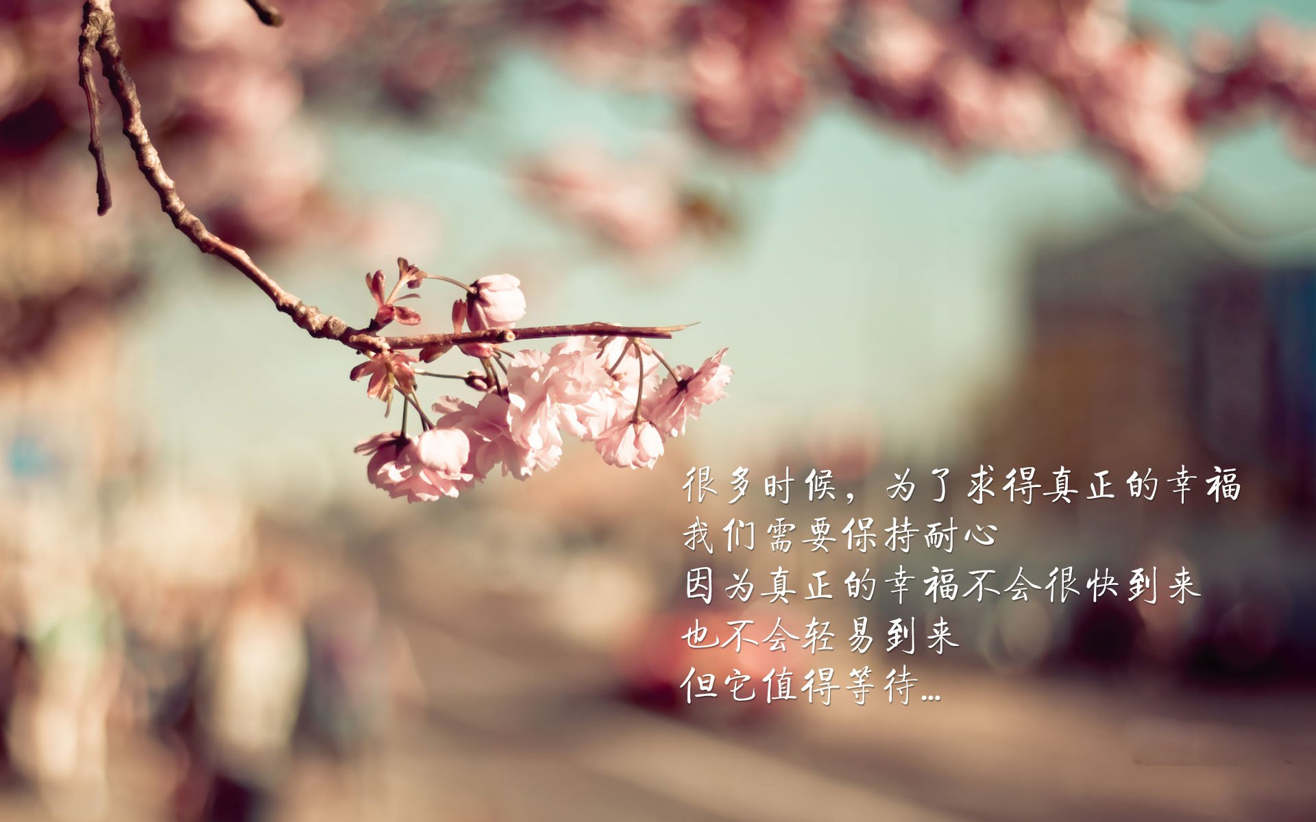 唯一的神迹,2026,当波斯铁骑在绝境中刺穿安第斯山脉,而桑巴之光在血战中宣告新王降临